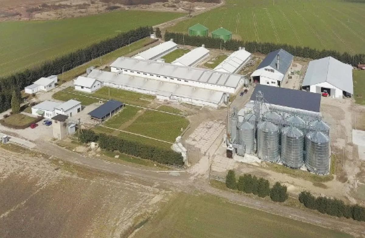 Jaka odległość chlewni od budynku mieszkalnego? Poznaj ważne przepisy