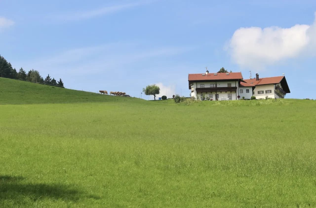Ile kosztuje ar działki budowlanej na wsi? Ceny, które musisz znać
